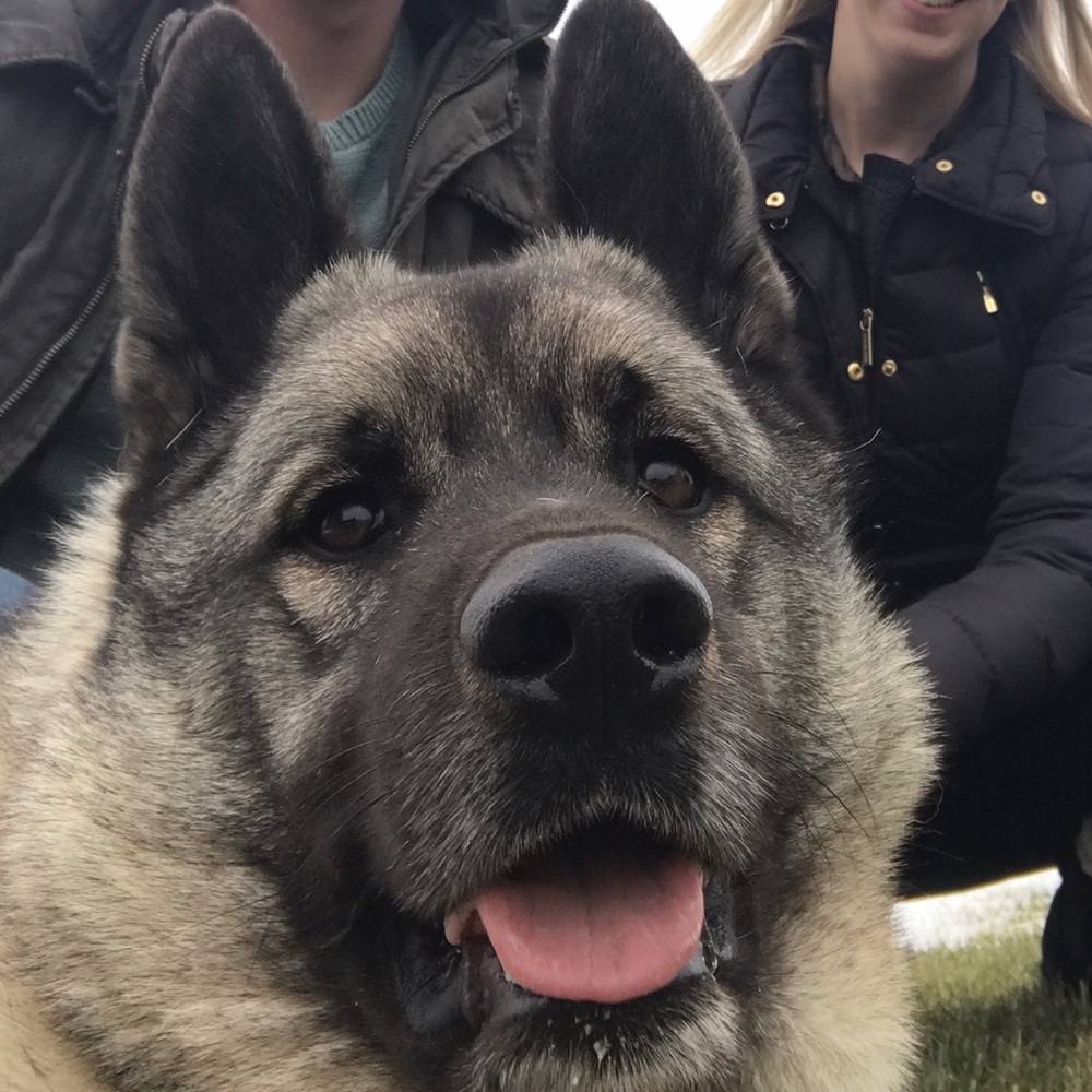 Meet your Posher, Kacey