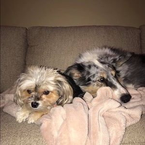 Meet your Posher, Avery