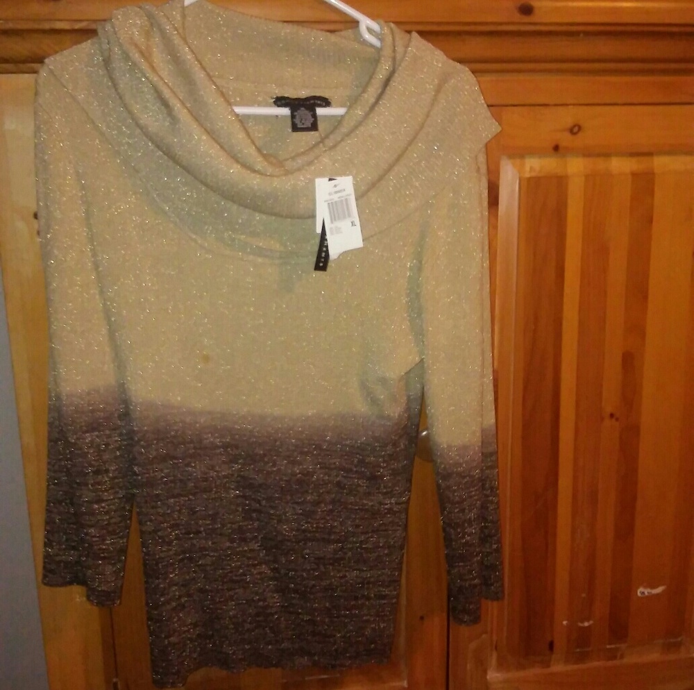 Slight glittery gold and brown sweater