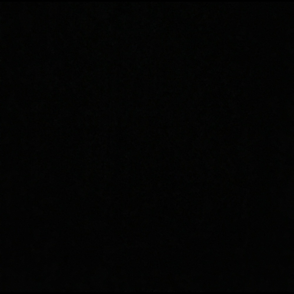 In Search of APPLE WATCH