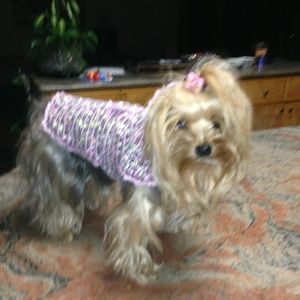 Meet your Posher, Diana