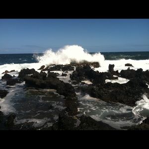 Meet your Posher, Carolyn