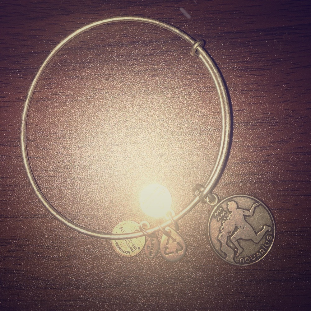BRAND NEW ALEX AND ANI BRACELET