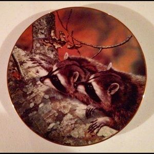 “Fascination" collectible plate