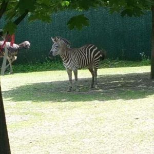 Meet your Posher, Ana