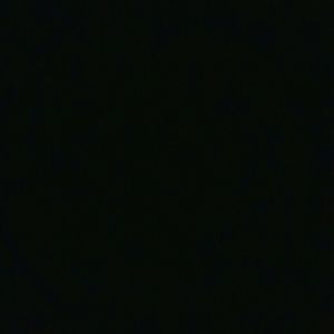 Meet your Posher, Lanie