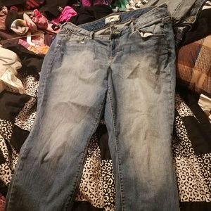 Torrid jeans