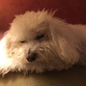 Meet your Posher, Eamon