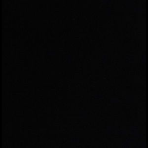 Meet your Posher, Liza