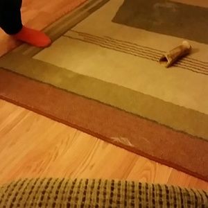 Meet your Posher, Erin