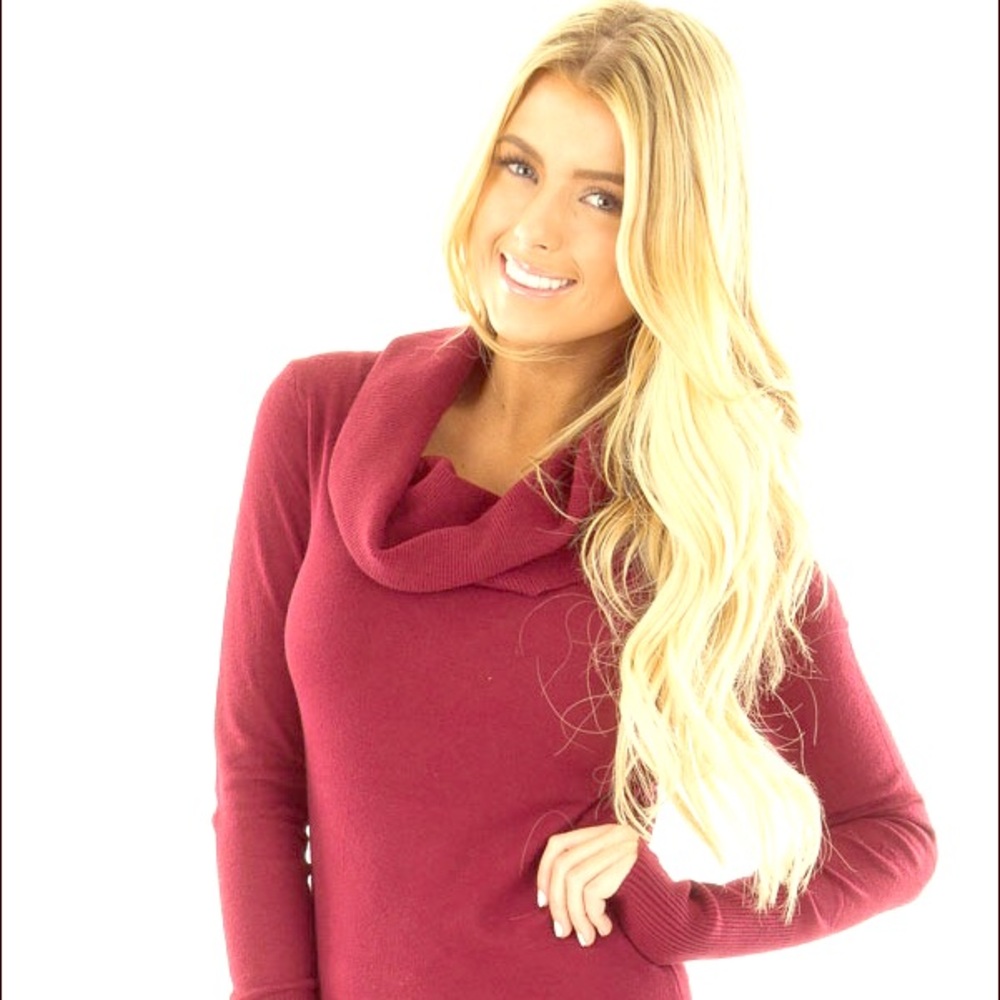 Between You & Me Burgundy Turtle Neck Sweater