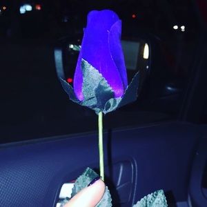 Meet your Posher, Annmarie