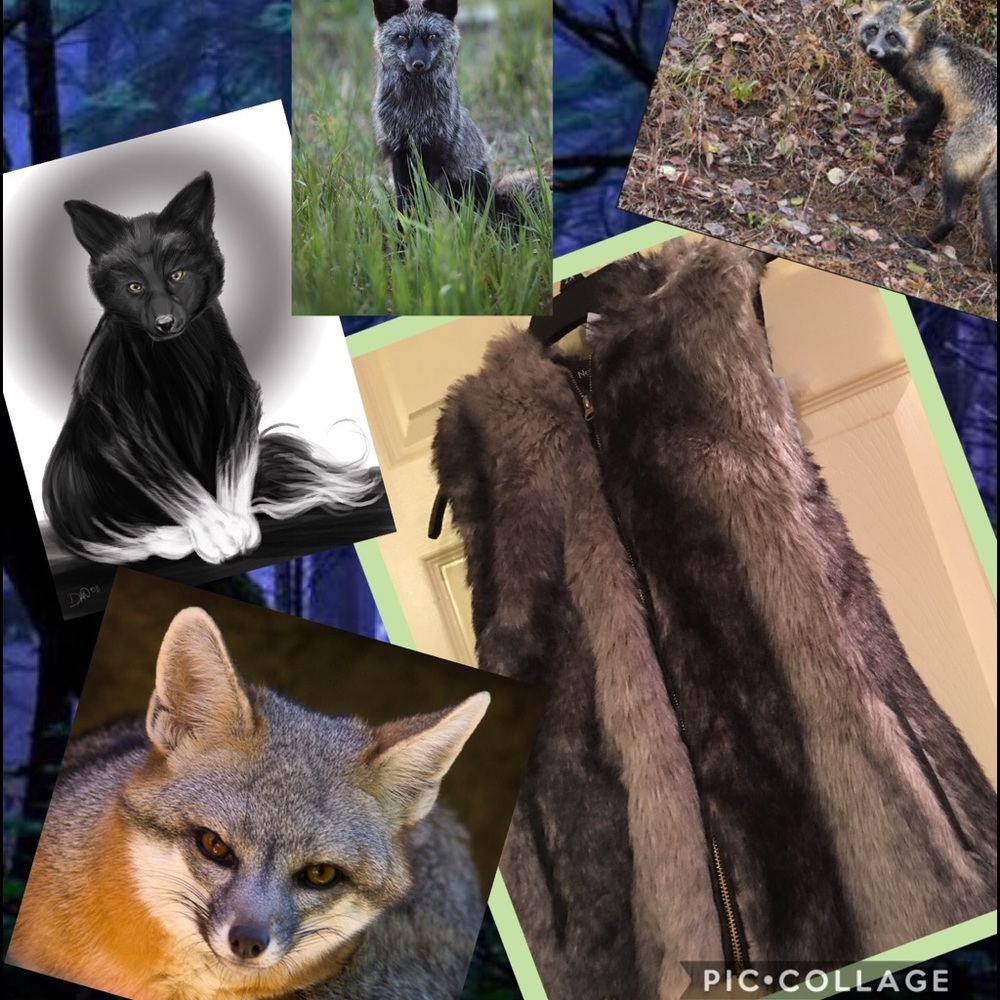 Foxy Faux Fur Hooded Vest