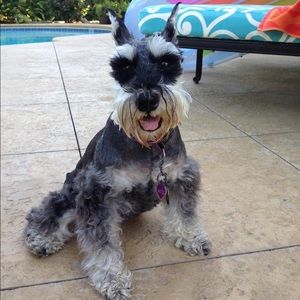 Meet your Posher, Audrey