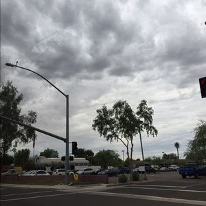 Meet your Posher, Sadie