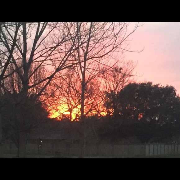 Meet your Posher, Madolin - Picture 1 of 1