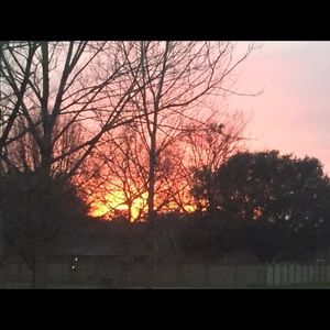 Meet your Posher, Madolin