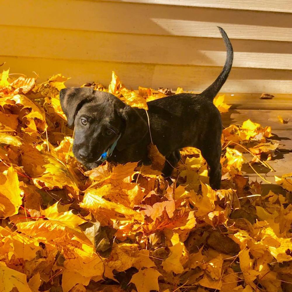 Meet your Posher, Mckenzie