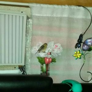 Meet your Posher, Benito