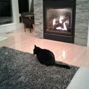 Meet your Posher, Shannon