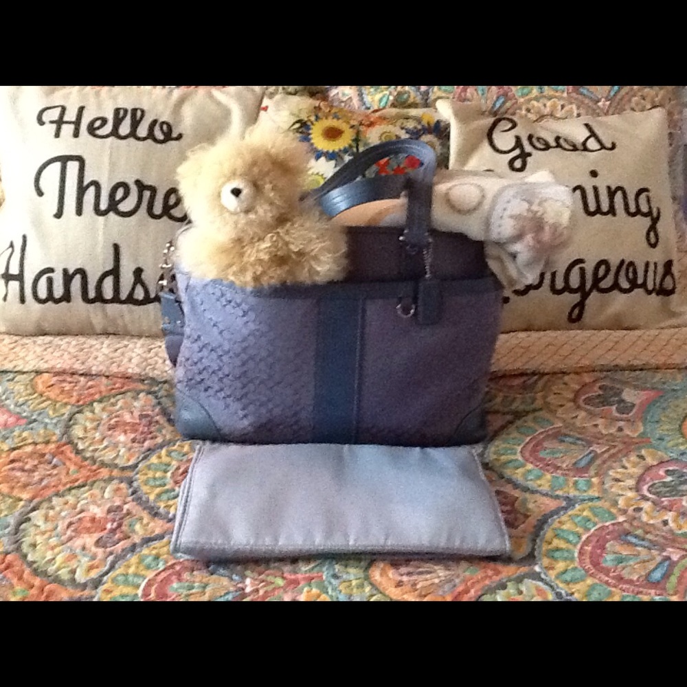 Coach Diaper Bag.