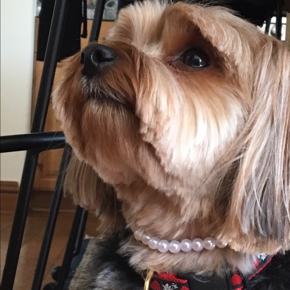 Meet your Posher, Hillary - Picture 2 of 2