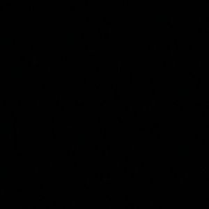 Meet your Posher, Sheila