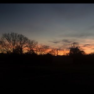 Meet your Posher, Lilly