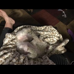 Meet your Posher, Amanda