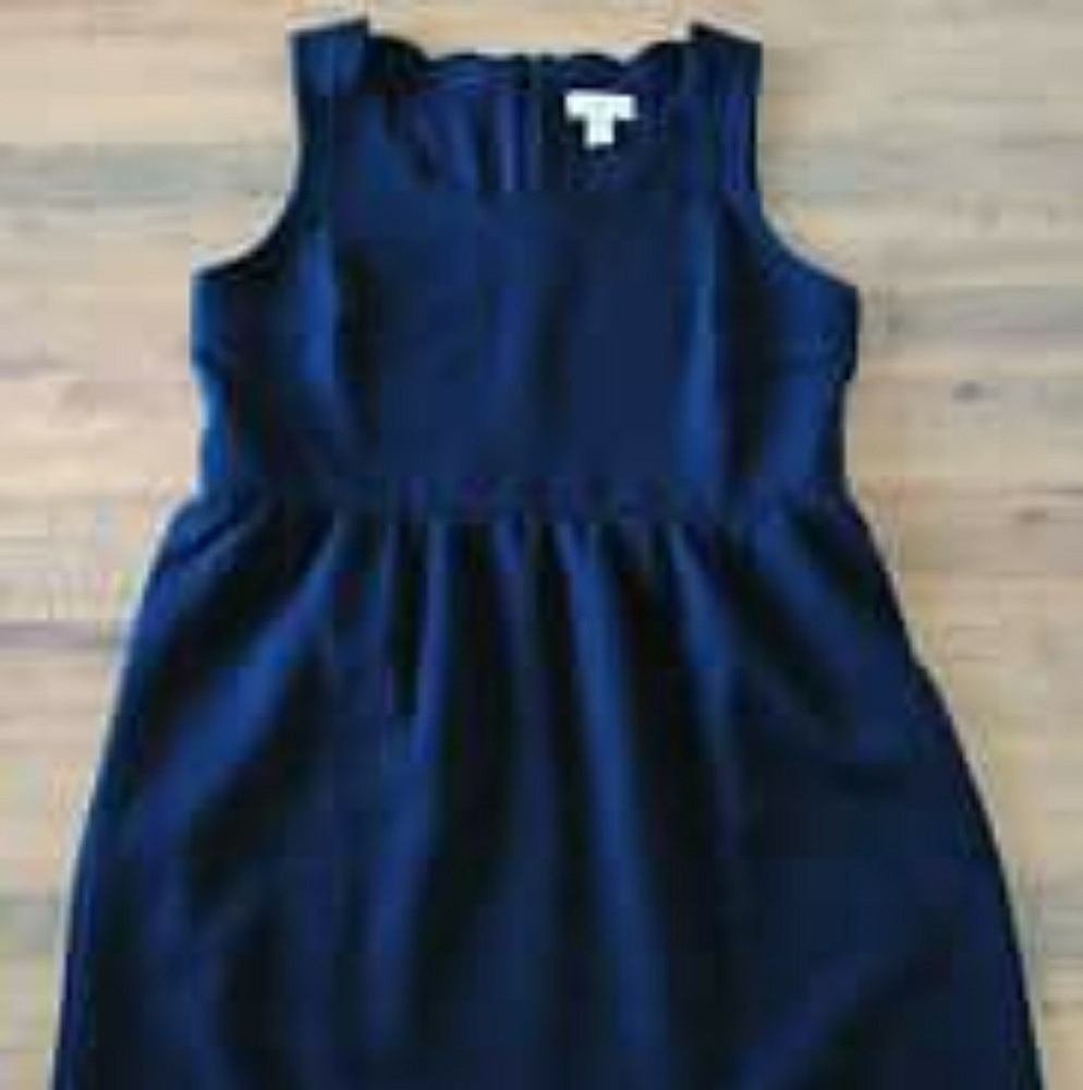 NWT - Loft - 6P -Navy quilted scalloped neck dress