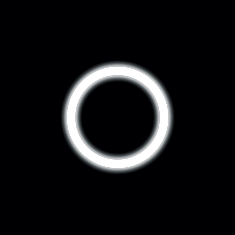 Meet your Posher, Reagan