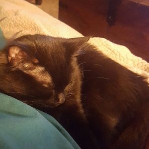 Meet your Posher, Kathy