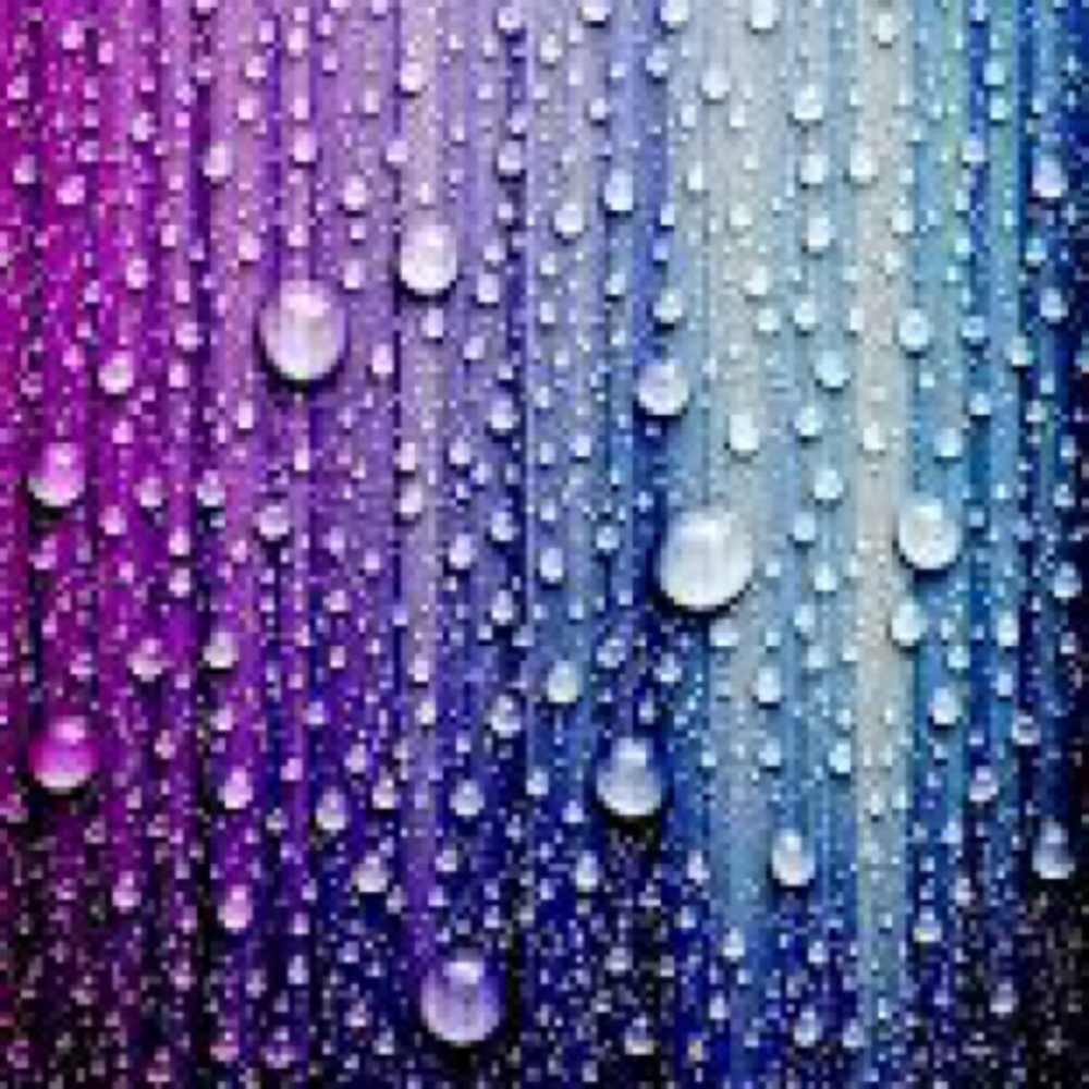 Meet your Posher, Robbon