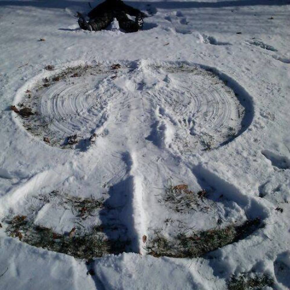 Meet your Posher, Chelley