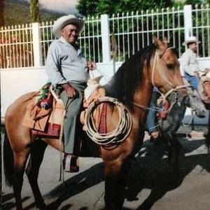 Meet your Posher, Alan