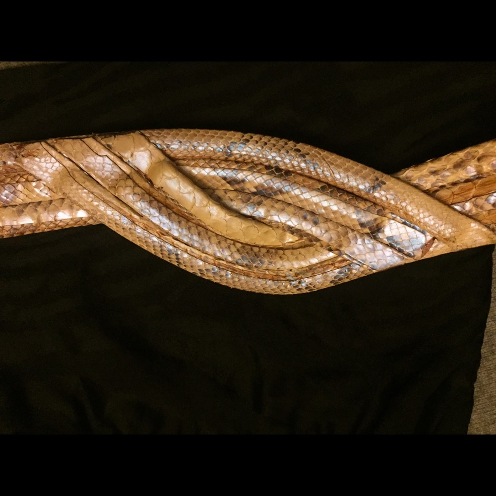Roberto Cavalli Python Belt - image 3