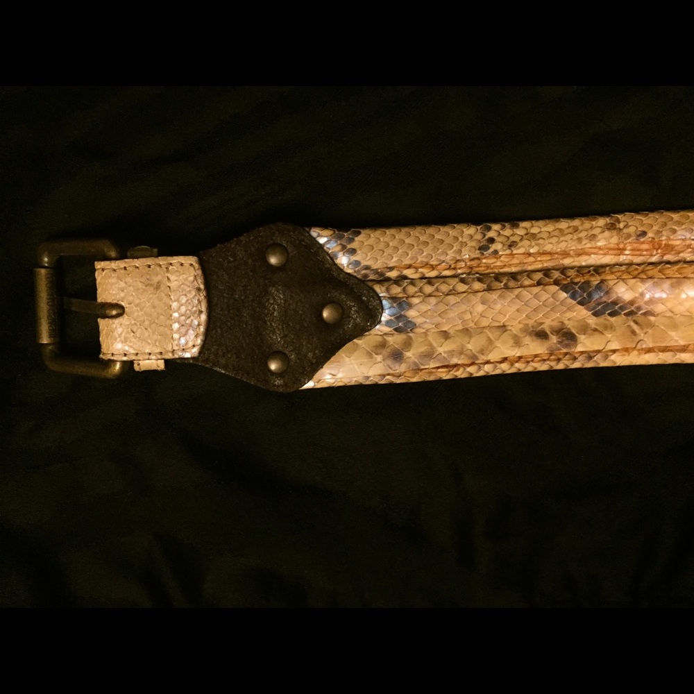 Roberto Cavalli Python Belt - image 4