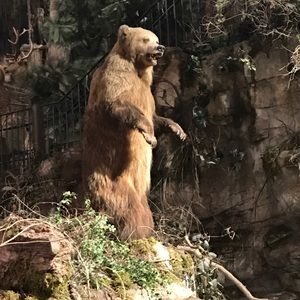 Meet your Posher, Thomas