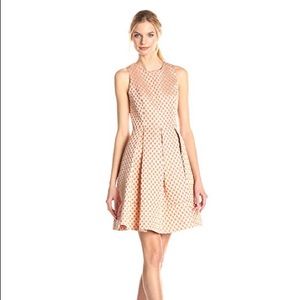 NWT Eliza J coral pleated "fit & flare" dress $169