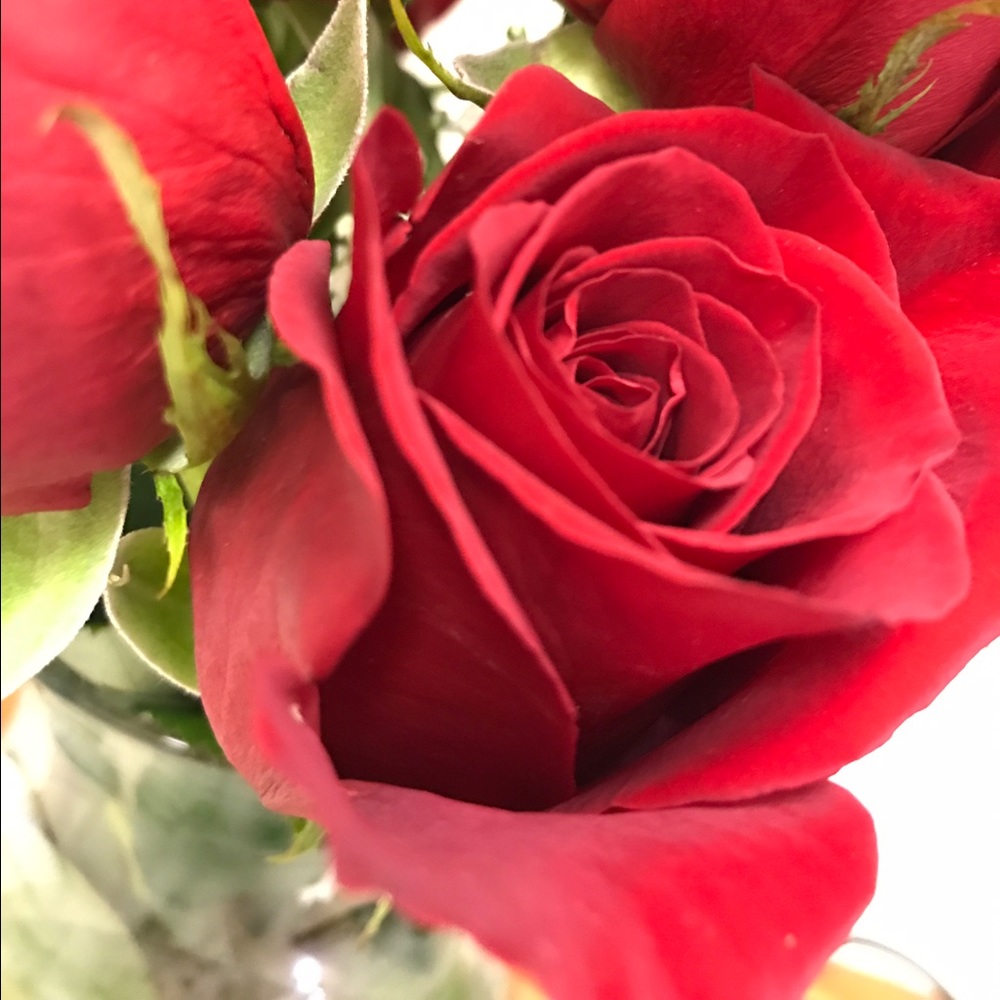 Meet your Posher, Kelly