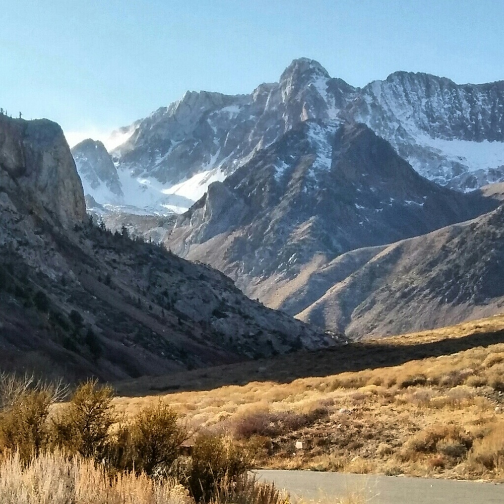 Meet your Posher, Drew