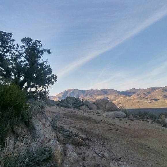 Meet your Posher, Drew - Picture 2 of 6