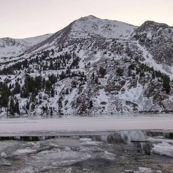 Meet your Posher, Drew - Picture 5 of 6