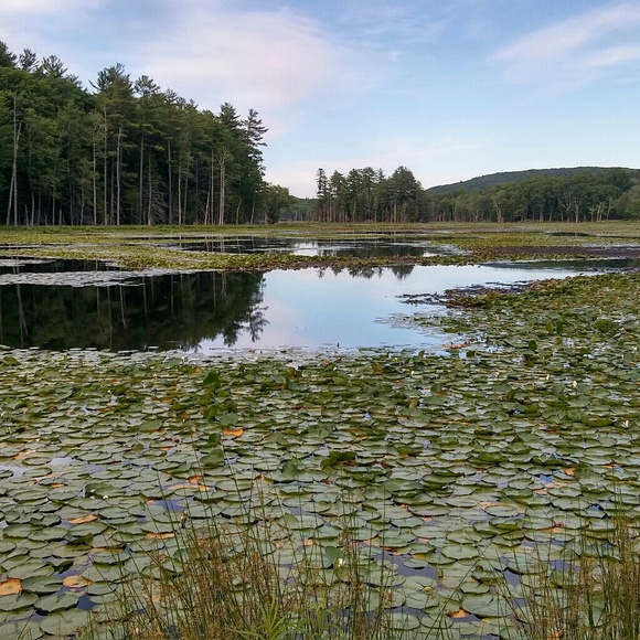 Meet your Posher, Drew - Picture 6 of 6