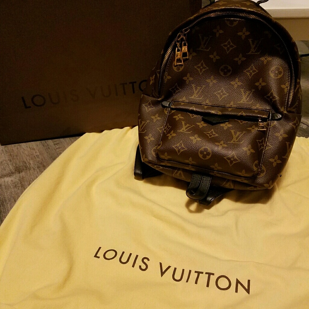 Louis Vuitton Palm Springs PM Backpack