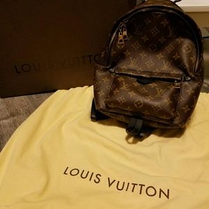 Louis Vuitton Palm Springs PM Backpack
