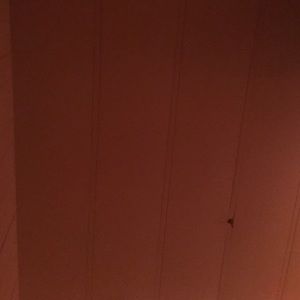 Meet your Posher, Karla