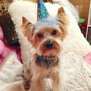 Meet your Posher, Jessica