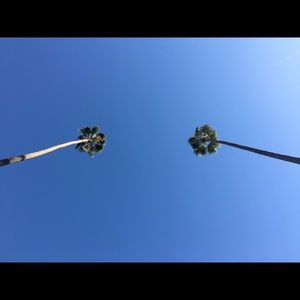 Meet your Posher, Lucy