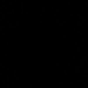 Meet your Posher, Patty